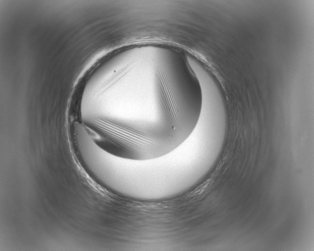 X0000052951422200508050910