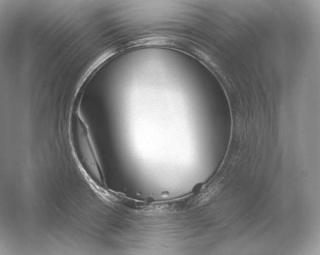 X0000052951426200508050910