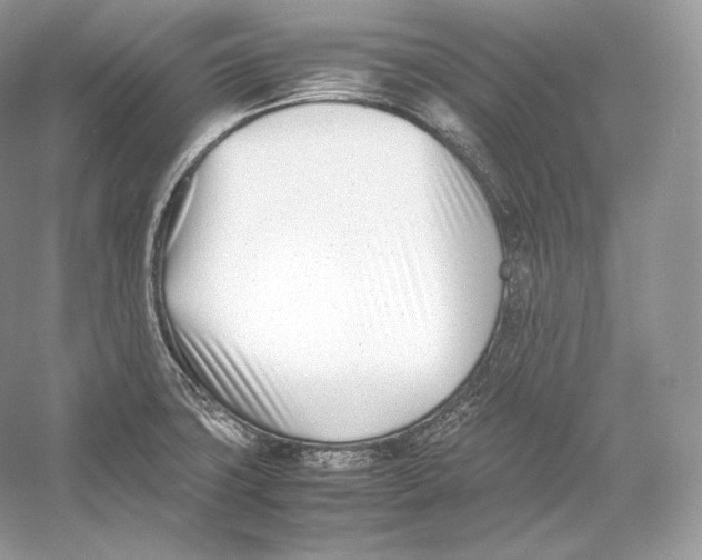X0000052951427200508050910