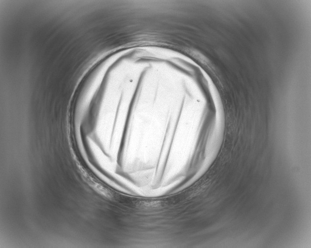 X0000052951431200508050910