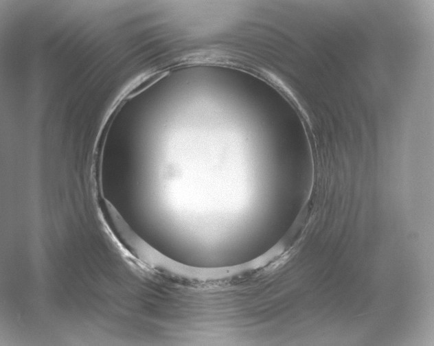 X0000052951434200508050910