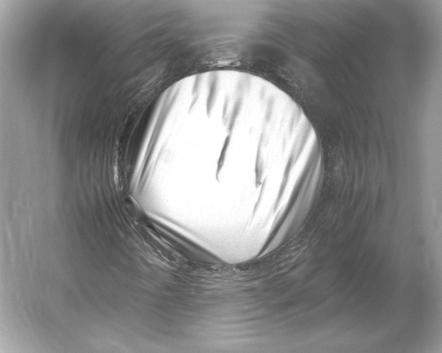 X0000052951442200508050909