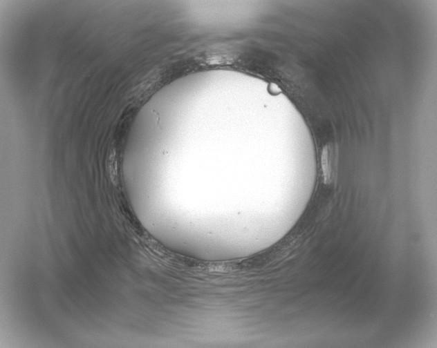 X0000052951443200508050909