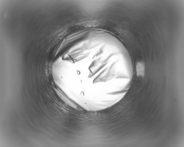 X0000052951444200508050909