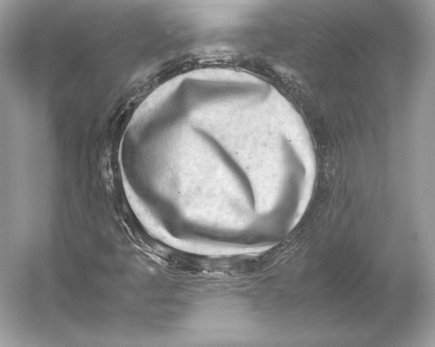 X0000052951445200508050909