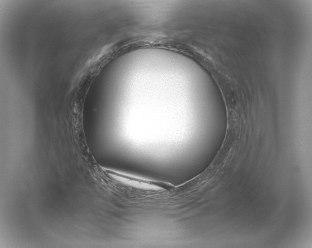 X0000052951447200508050909