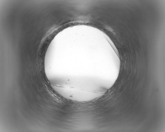 X0000052951448200508050909
