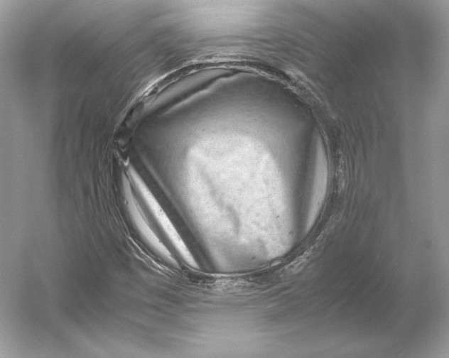 X0000052951449200508050909