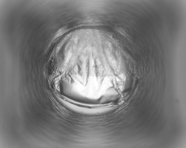 X0000052951451200508050909