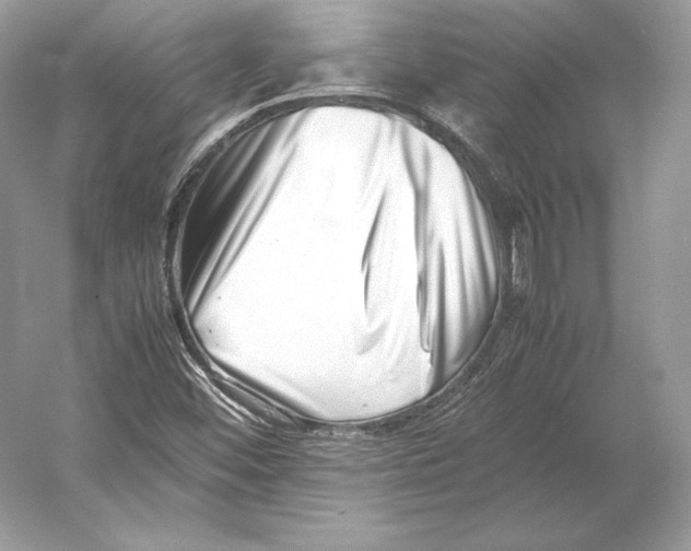 X0000052951452200508050909