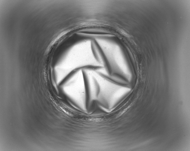 X0000052951453200508050909