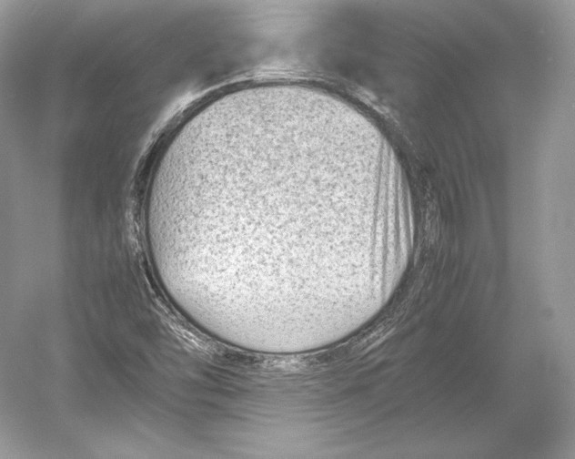 X0000052951454200508050909
