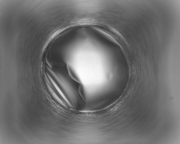 X0000052951461200508050909