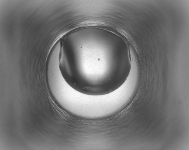 X0000052951465200508050909
