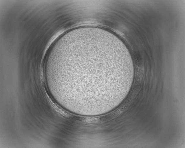 X0000052951466200508050909