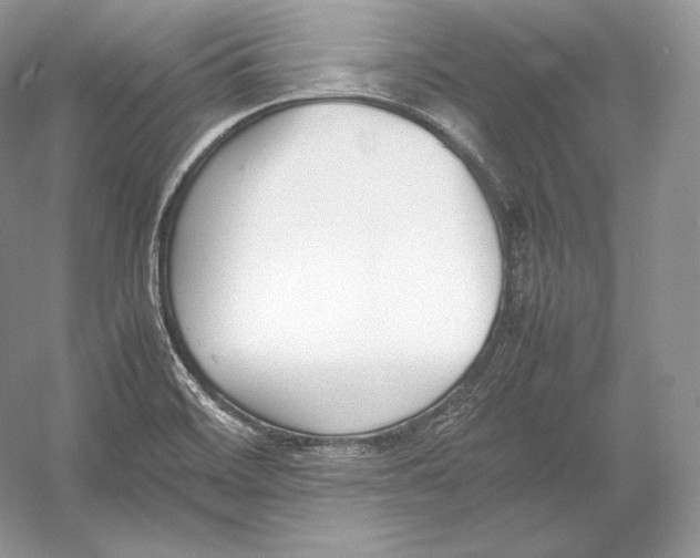 X0000052951468200508050909