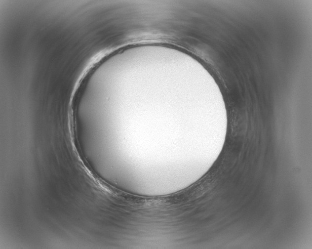 X0000052951472200508050909