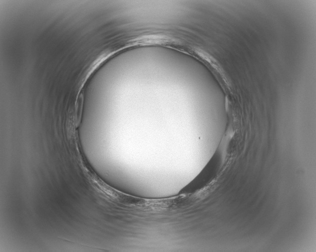 X0000052951473200508050909
