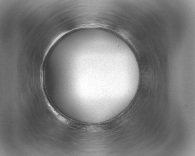 X0000052951476200508050909