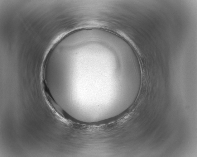 X0000052951477200508050909