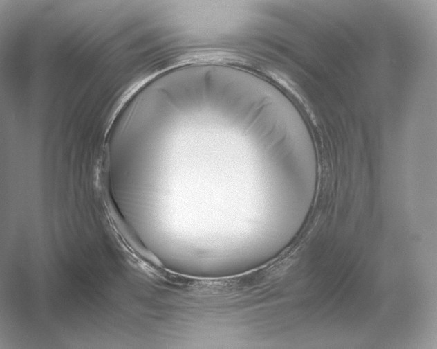 X0000052951481200508050909