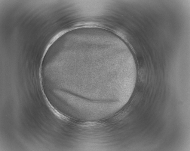 X0000052951482200508050909