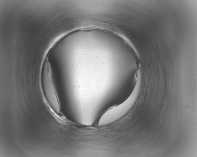 X0000052951485200508050909