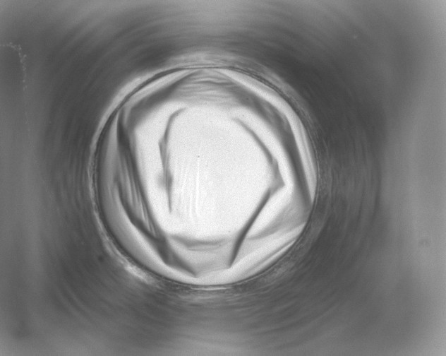 X0000052951486200508050909