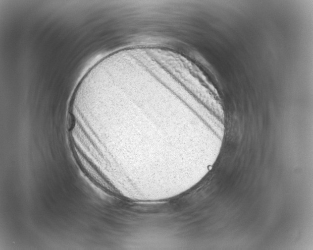 X0000052951487200508050909
