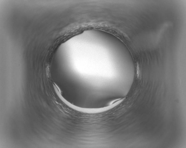 X0000052951492200508050908