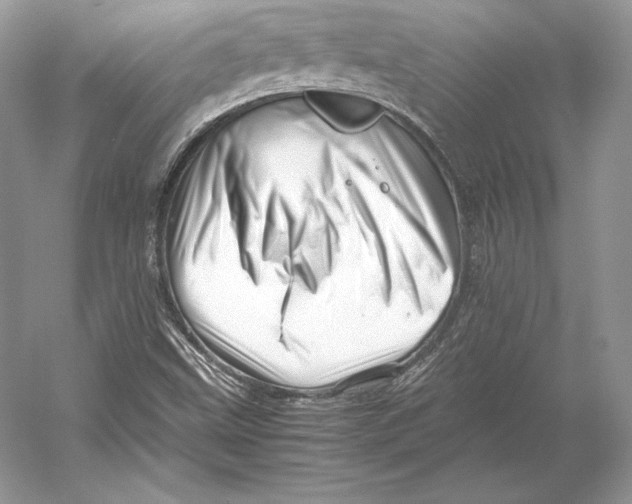 X0000052951499200508050908