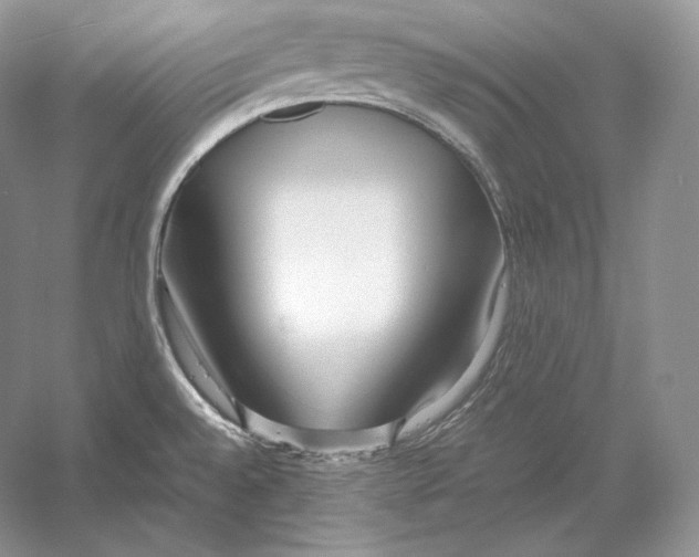 X0000052951528200508050908