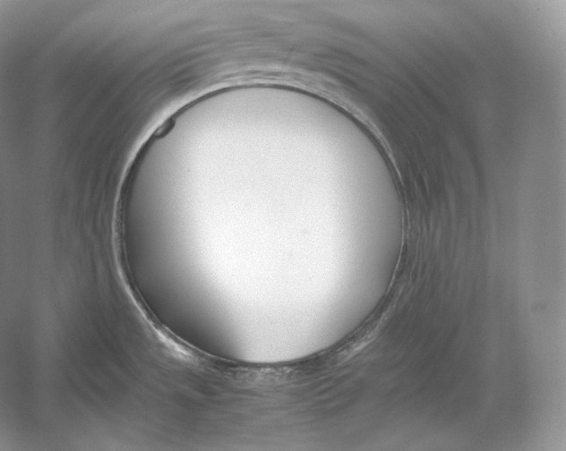 X0000052951533200508050909
