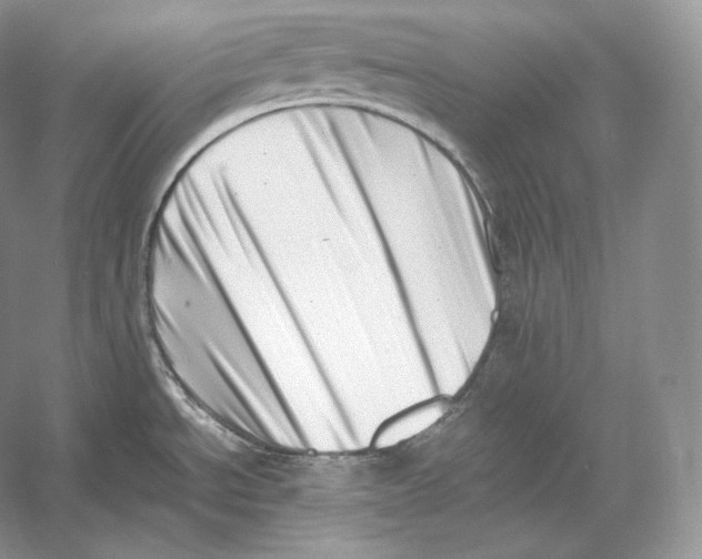 X0000052951534200508050909