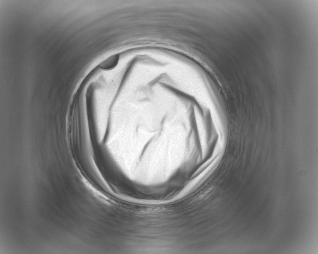 X0000052951535200508050909