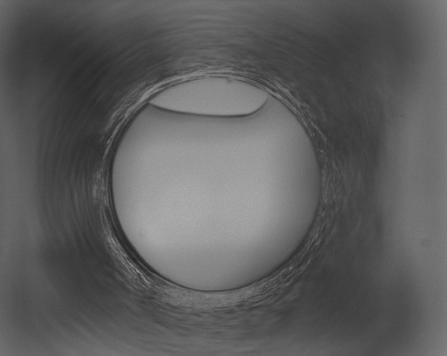 X0000052960002200507080908