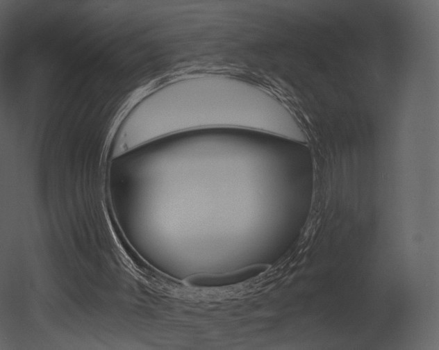 X0000052960003200507080908
