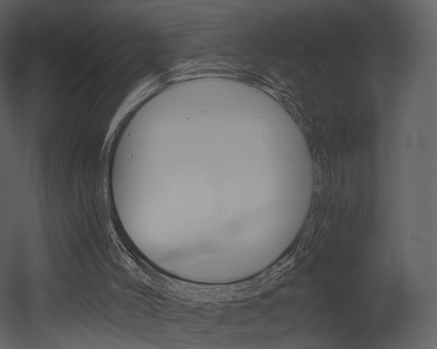 X0000052960004200507080908