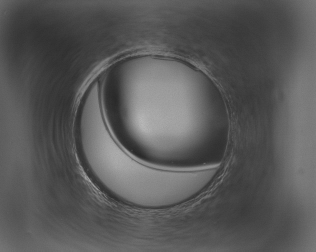 X0000052960007200507080908