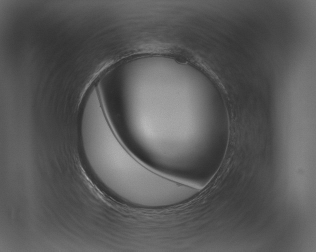 X0000052960011200507080908