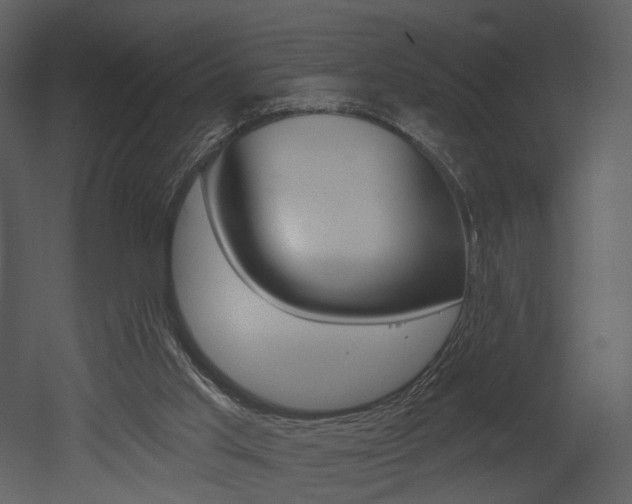 X0000052960013200507080908