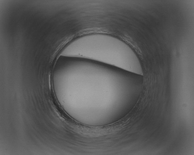 X0000052960014200507080908