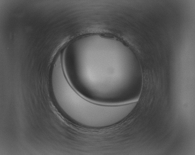 X0000052960015200507080908