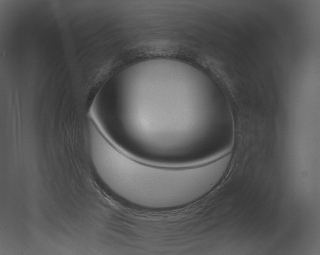 X0000052960017200507080908