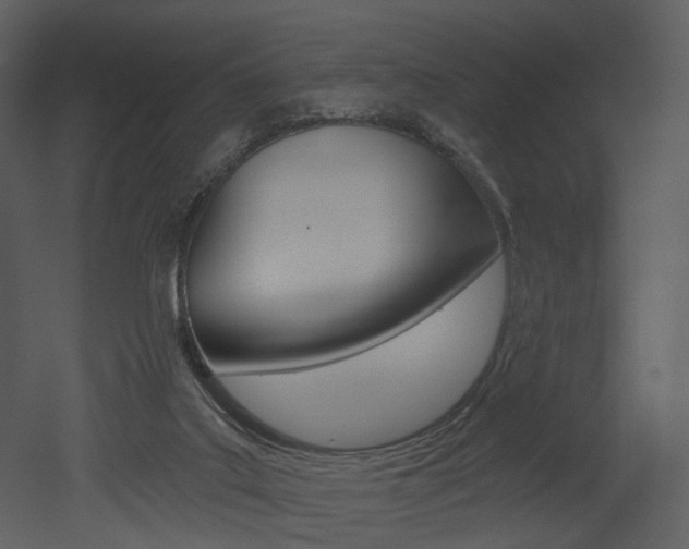 X0000052960019200507080908