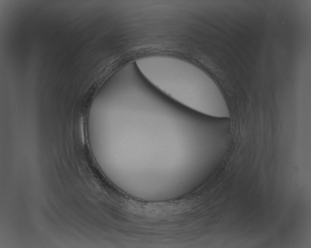 X0000052960022200507080908