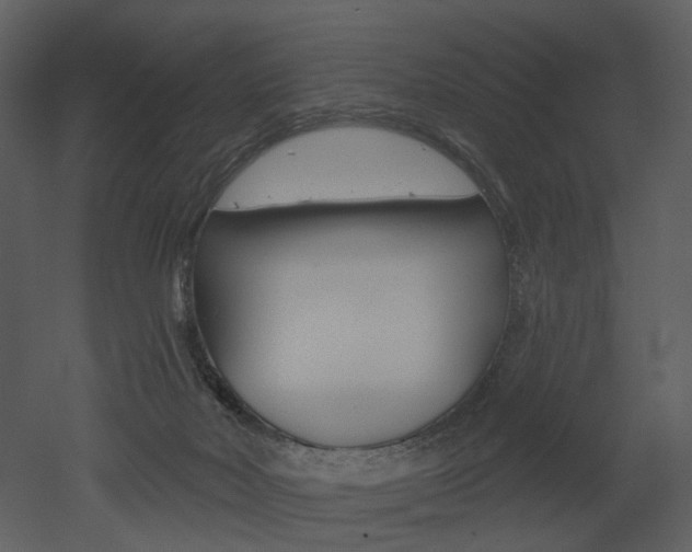X0000052960026200507080907