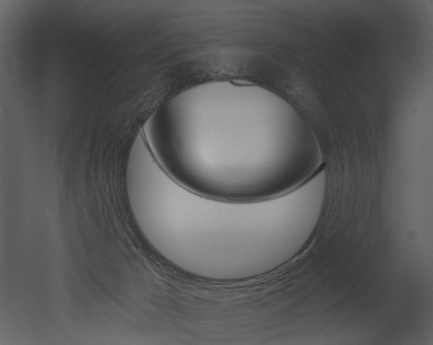 X0000052960029200507080907