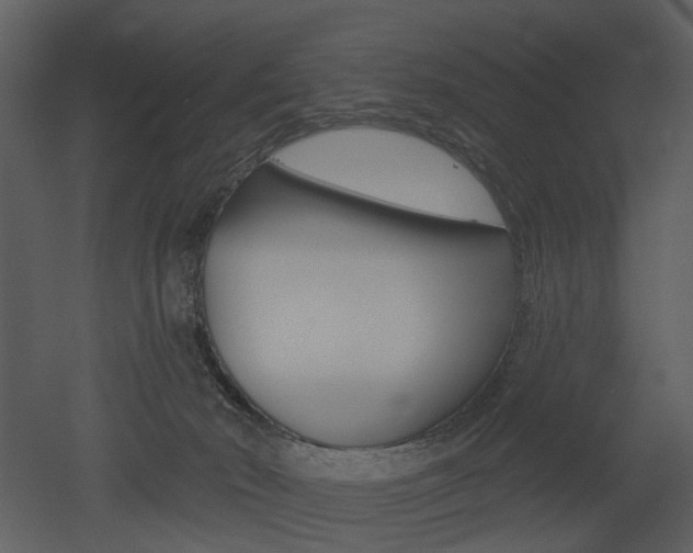 X0000052960030200507080907