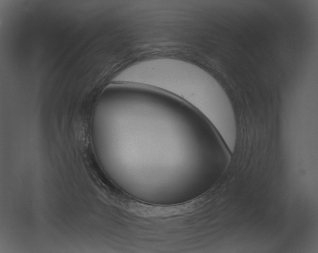 X0000052960031200507080907